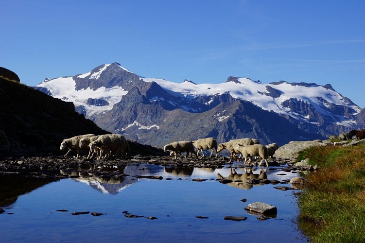 Rifugio del Carro - Un sentiero balcone mozzafiato - Escursione di 2 giorni