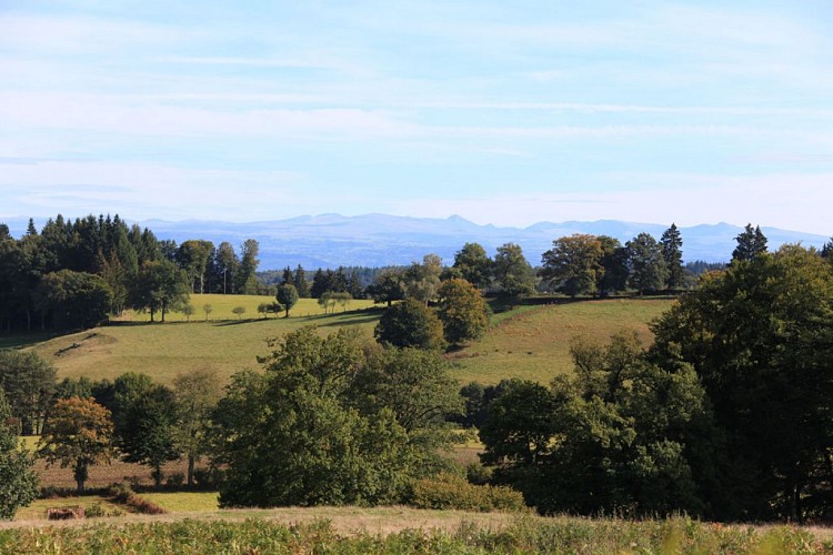 VTT - Gravel - Le Puy de Sabat - 32 km - circuit 20