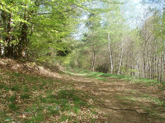 VTT - Gravel - Piste jaune - 4 km - circuit 45