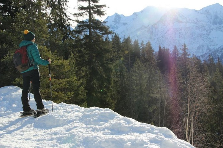 Barmus loop trail: Snowshoe Passy