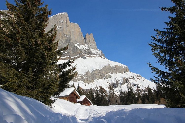 Barmus loop trail: Snowshoe Passy