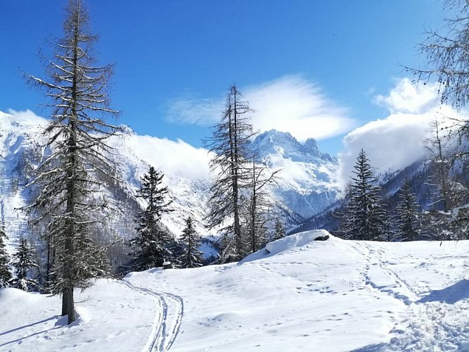 Granges loop: snowshoe Vallorcine
