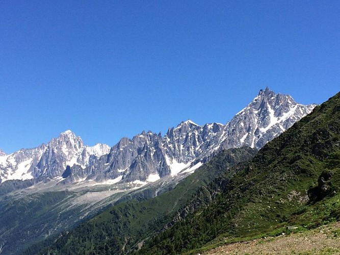 Vue sur les aiguilles de Chamonix depuis le mont Lachat