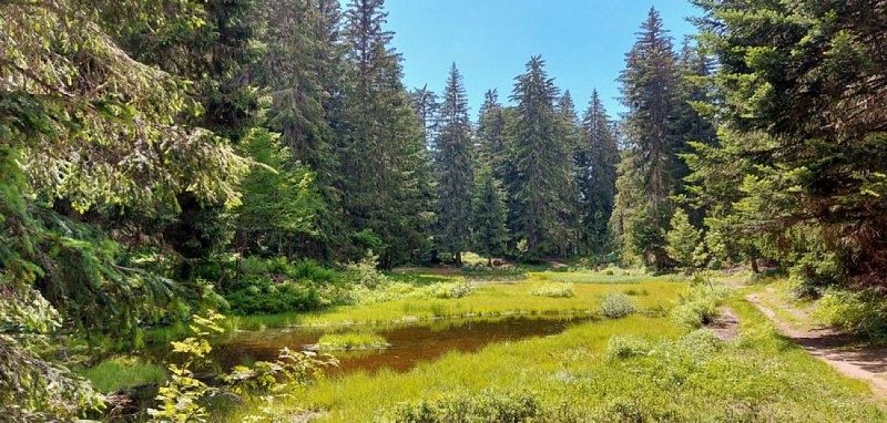 Plateau de Loëx: a protected natural area