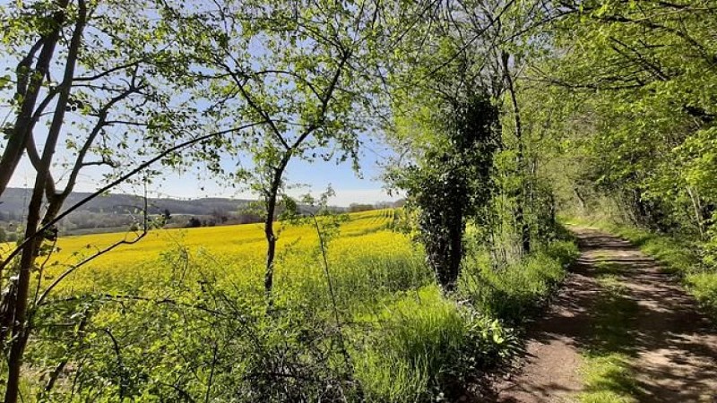 Le Manoir de Boiscorde