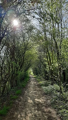 Le Manoir de Boiscorde
