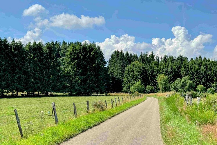 Libramont_circuitVTC19km©MTFSH-TEXTO Pascal Willems (64)