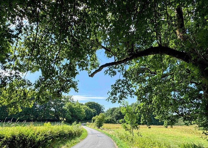 Libramont_circuitVTC19km©MTFSH-TEXTO Pascal Willems (241)