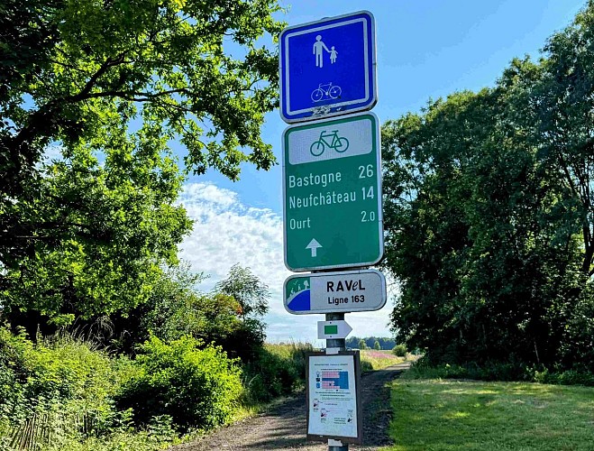 Libramont_circuitVTC19km©MTFSH-TEXTO Pascal Willems (198)