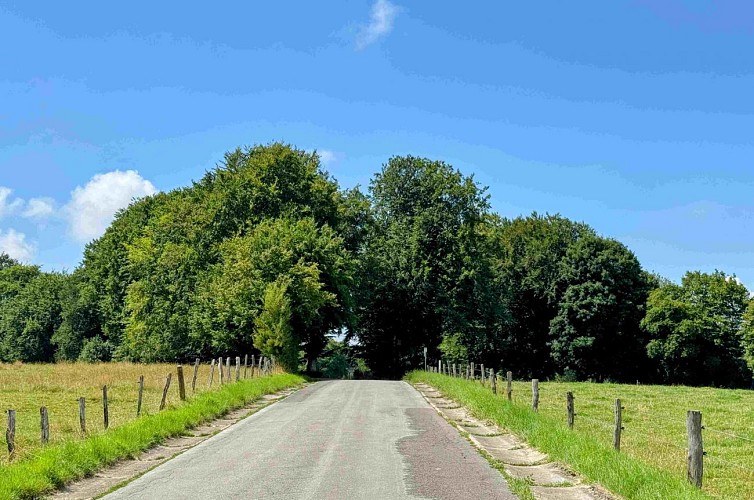 Libramont_circuitVTC19km©MTFSH-TEXTO Pascal Willems (150)