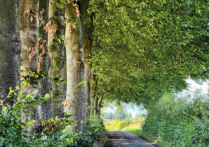 Libramont_circuitVTC19km©MTFSH-TEXTO Pascal Willems (35)