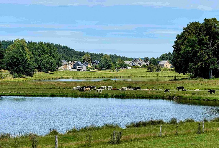 Libramont_vtc37km©MTFSH-TEXTO Pascal Willems (14)