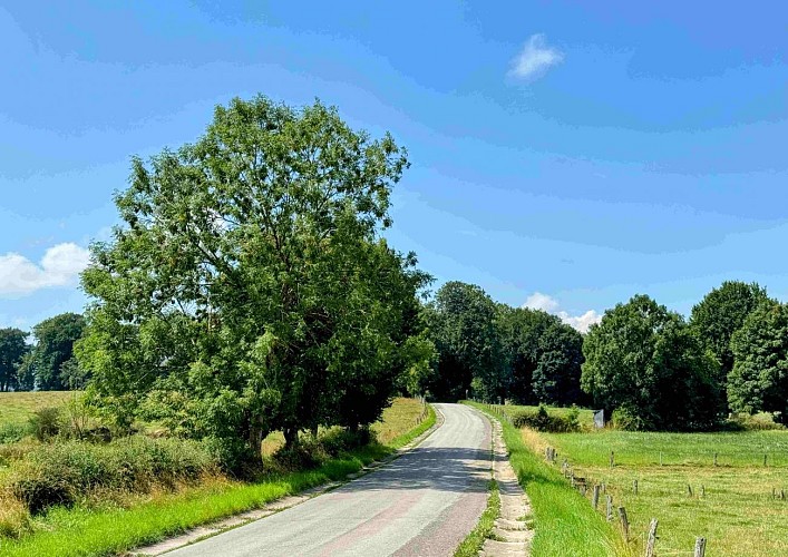 Libramont_vtc37km©MTFSH-TEXTO Pascal Willems (120)