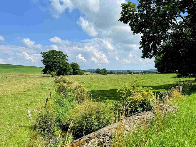 Libramont_vtc37km©MTFSH-TEXTO Pascal Willems (121)