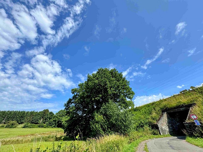 Libramont_vtc37km©MTFSH-TEXTO Pascal Willems (67)