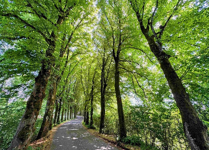 Libramont_vtc37km©MTFSH-TEXTO Pascal Willems (102)