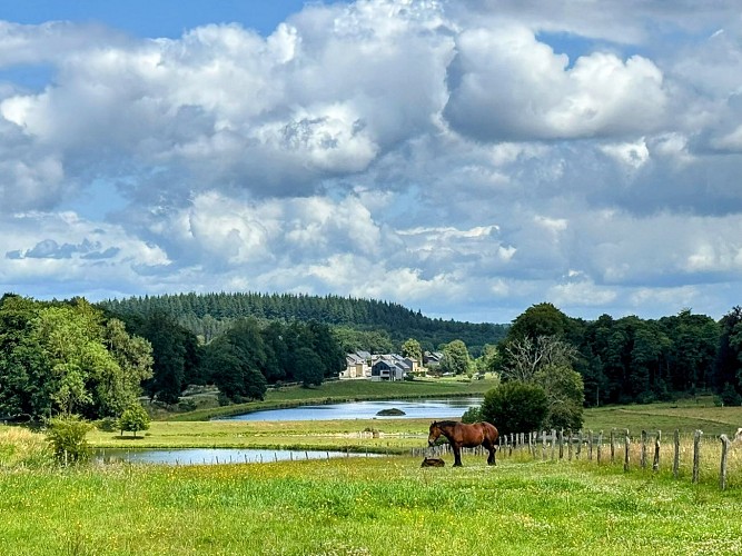 Libramont_circuitVTC50©MTFSH_TEXTO_Pascal_Willems_(206)