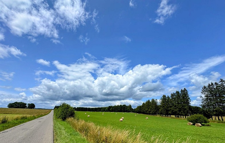 Libramont_circuitVTC50©MTFSH_TEXTO_Pascal_Willems_(399)