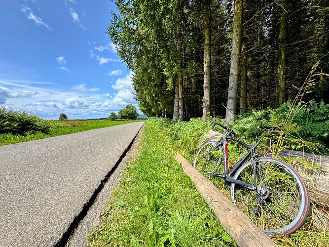 Libramont_circuitVTC50©MTFSH_TEXTO_Pascal_Willems_(49)