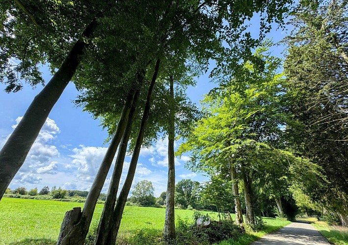 Libramont_circuitVTC50©MTFSH_TEXTO_Pascal_Willems_(48)