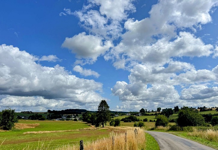 Libramont_circuitVTC50©MTFSH_TEXTO_Pascal_Willems_(325)