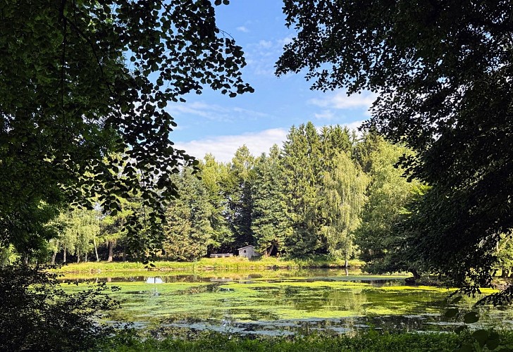 Libramont_circuitVTC50©MTFSH_TEXTO_Pascal_Willems_(21)