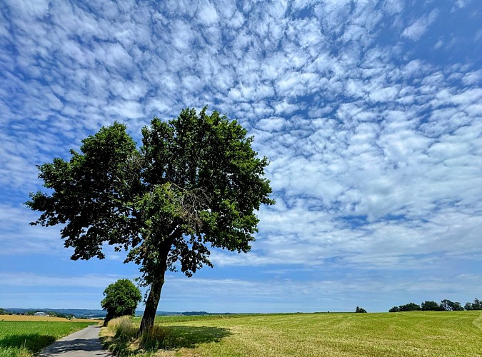 Libramont_circuit_vtc_70km©MTFSH-TEXTO_Pascal_Willems_(45)