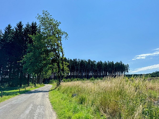 Libramont_circuit_vtc_70km©MTFSH-TEXTO_Pascal_Willems_(347)