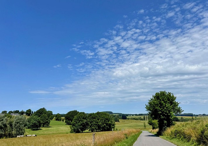 Libramont_circuit_vtc_70km©MTFSH-TEXTO_Pascal_Willems_(177)