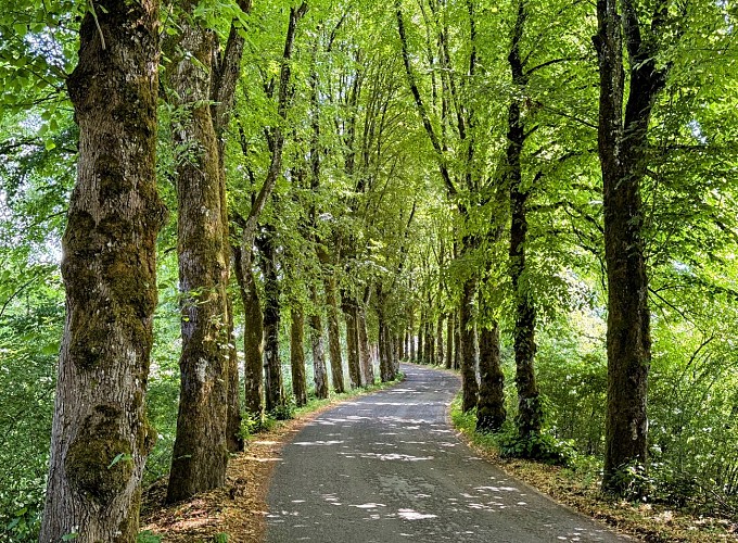 Libramont_circuit_vtc_70km©MTFSH-TEXTO_Pascal_Willems_(81)