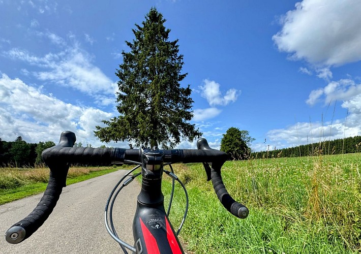 Libramont_circuit_vtc_70km©MTFSH-TEXTO_Pascal_Willems_(251)