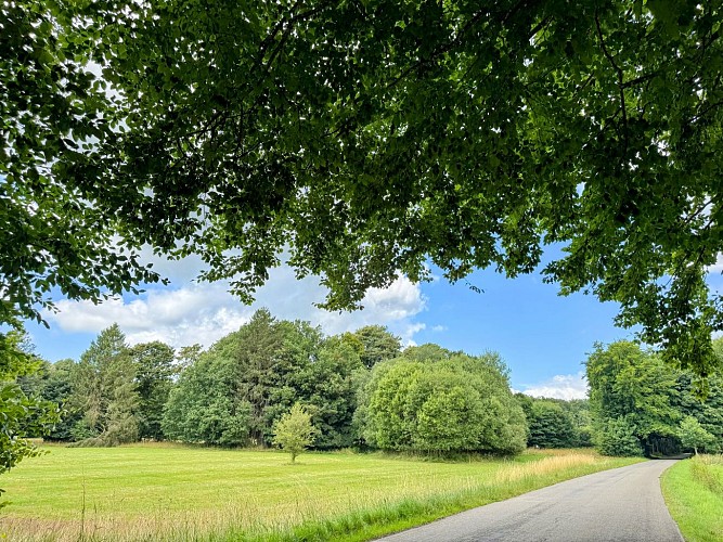 Libramont_circuit_vtc_70km©MTFSH-TEXTO_Pascal_Willems_(272)