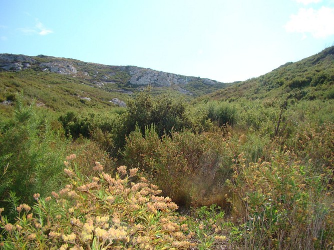 Le Tour du Romaron