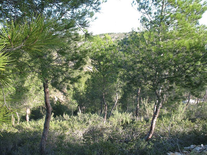 Le Tour du Romaron