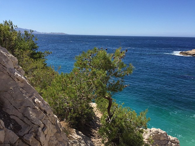 Topo rando entre Calanques et collines_Carry-le-Rouet