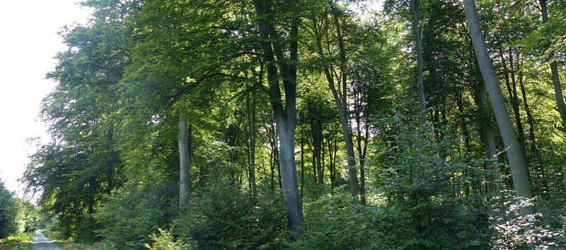 La Coudrette