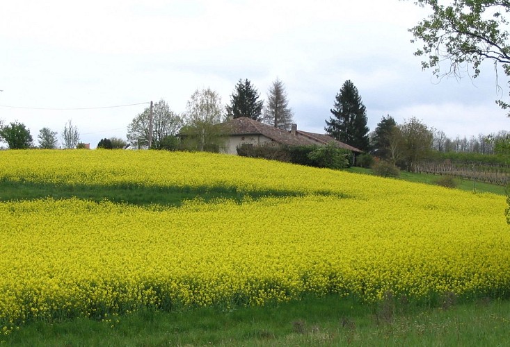 Puycornet en voiture