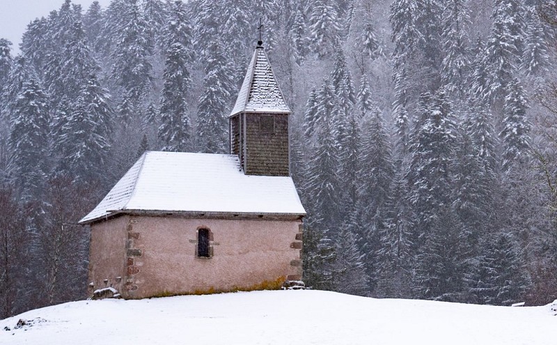 Le sentier du delta st jacques