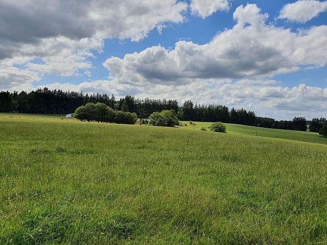 Prom 10 Bouillon vue Ferme Mouche et chêne juin 2020 A Villeval (31)
