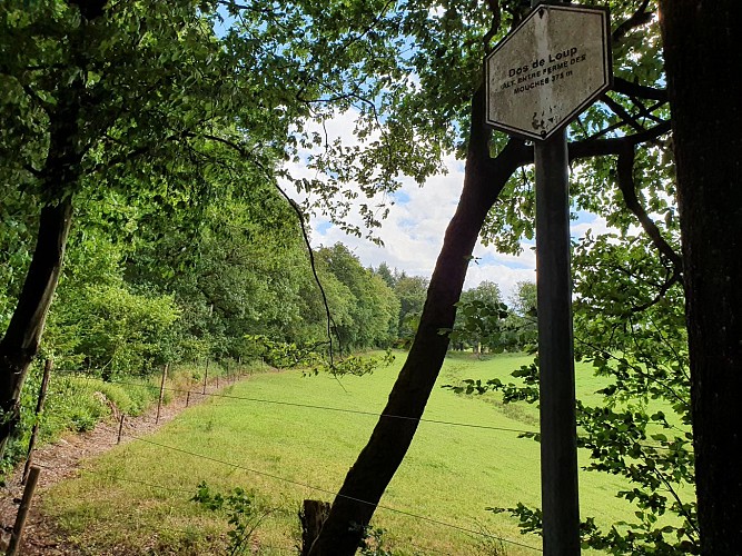 Prom 10 Bouillon juin 2020 A Villeval (37)