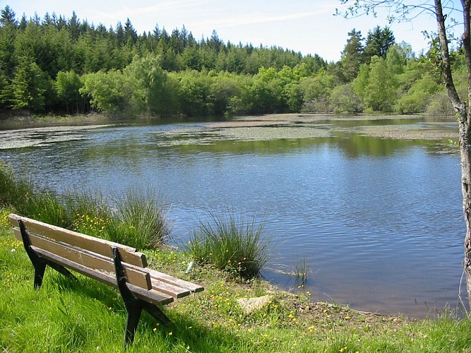 VTT - Gravel - A travers champs et forêts - 28 km - circuit 61