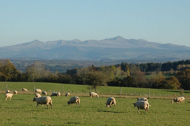 VTT - Gravel - De Feyt à Monestier - 17 km - circuit 62