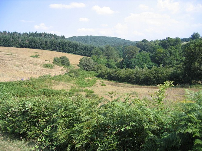 Circuit sur les hauteurs de Lapalisse