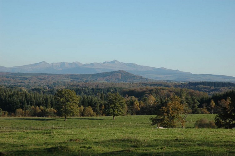 VTT - La Méouzette - 11 km - circuit 64