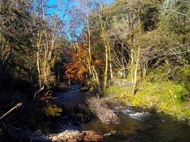 VTT - La Méouzette - 11 km - circuit 64