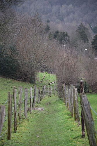 Balade des Ecureuils