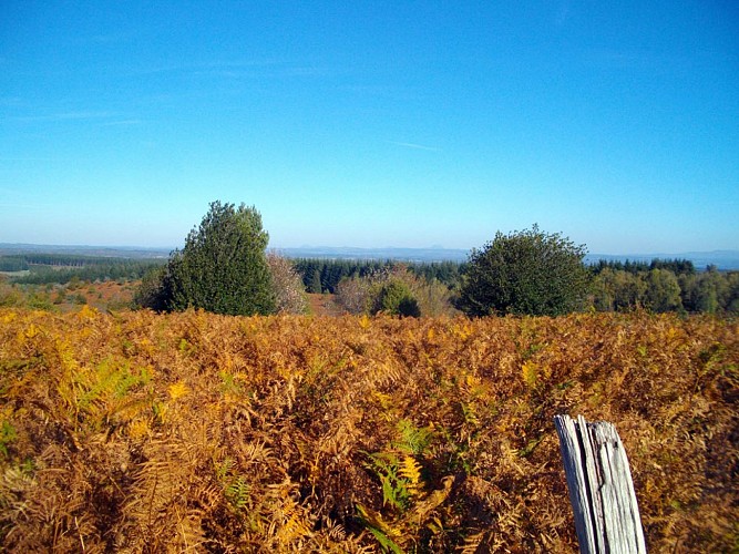 VTT - Gravel - Sur le plateau des Agriers - 17 km - circuit 63