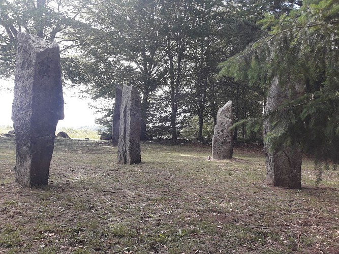 POIS1_LamaziereHte_VTT63_plaine_filles_HCC_GSalat