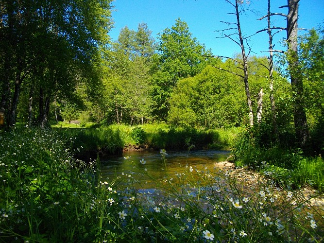 POIS2_Sornac_VTT49_Diège_HCC_Gsalat