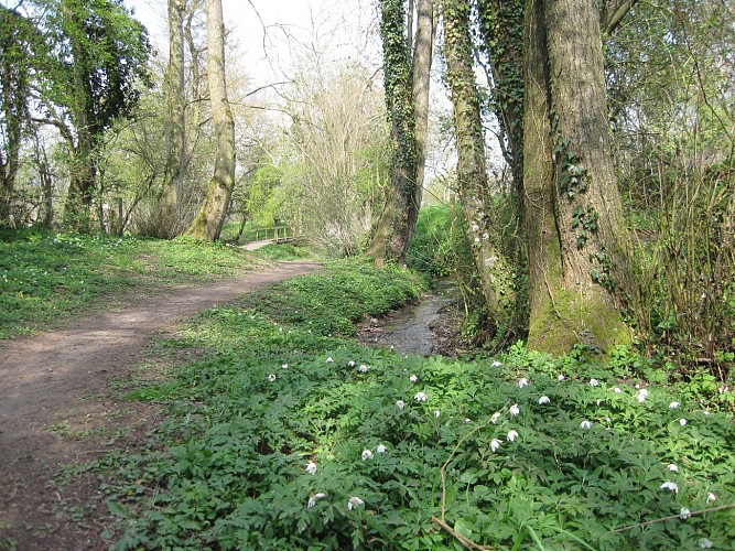 Sentier Le Donjon - Version courte